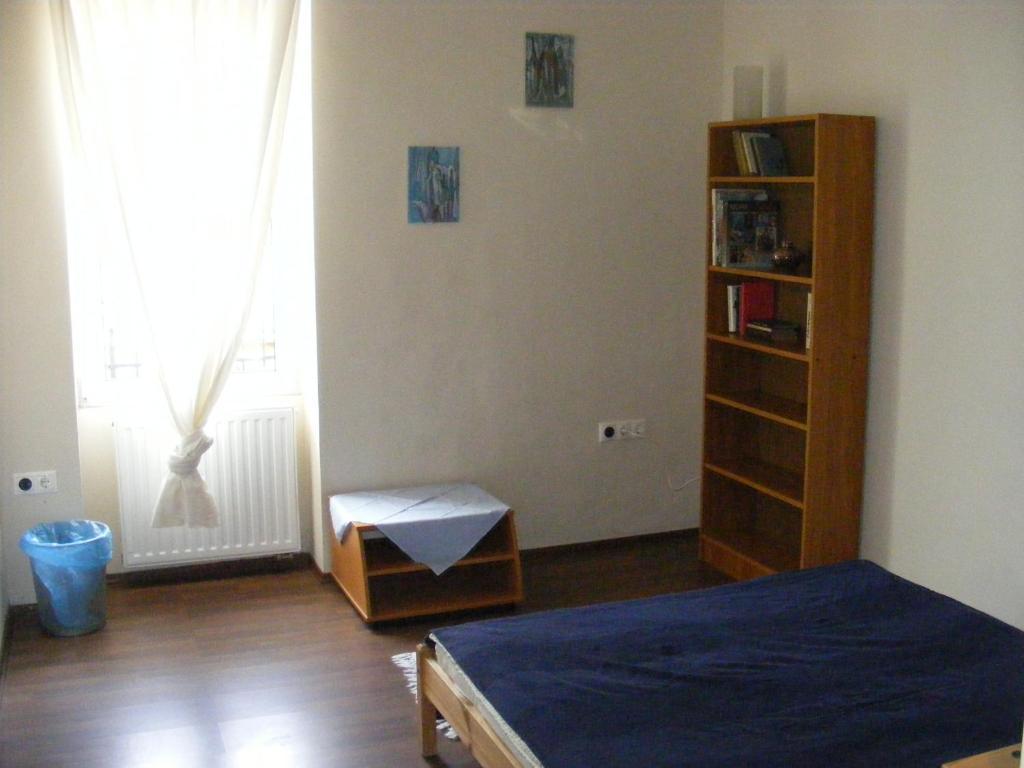Palatinus Apartment Будапешт Номер фото